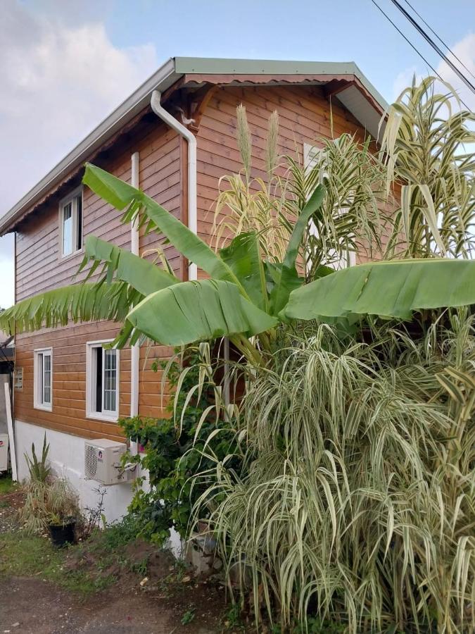 Le Cosy Bungalow De Lili / 5Min De L'Aeroport Les Abymes Ngoại thất bức ảnh