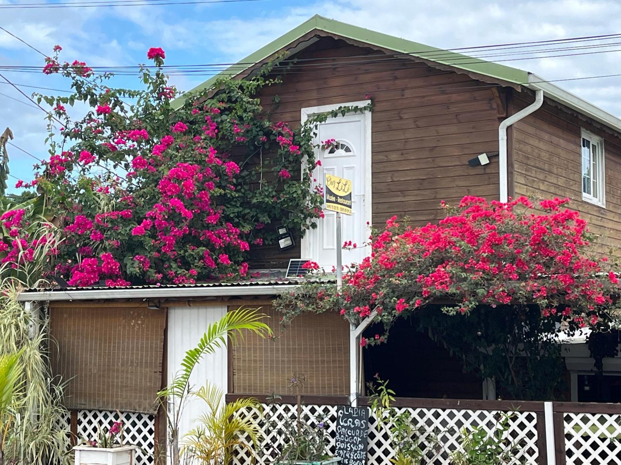 Le Cosy Bungalow De Lili / 5Min De L'Aeroport Les Abymes Ngoại thất bức ảnh